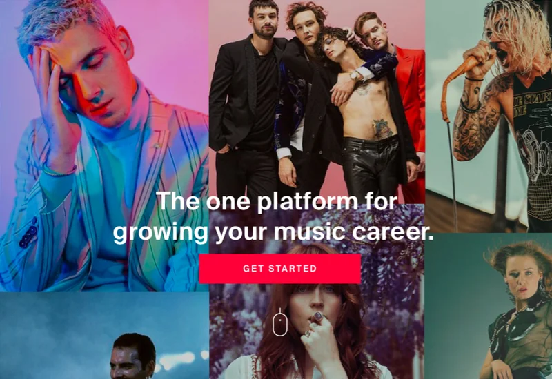 Viberate, Homepage hero